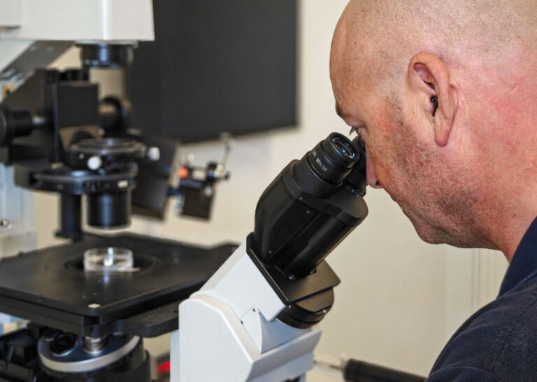Embryologe bei IVF SYD beurteilt eine individuelle ICSIs-Behandlung in Dänemark.