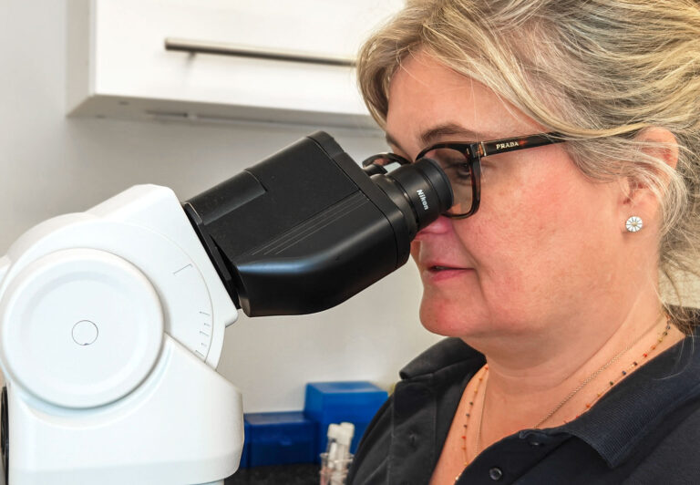 Embryologin bei IVF SYD untersucht Proben für eine ICSIs-Behandlung in Dänemark.